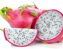 White Flesh Dragon Fruit