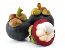 Mangosteen