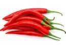 Red Chili