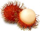 Rambutan