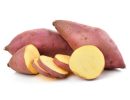 Yellow Sweet Potato