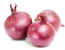 Fresh Onion