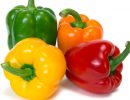 Fresh Capsicum